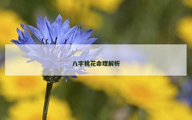 八字桃花命理解析