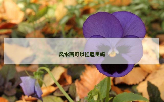 风水画可以挂屋里吗