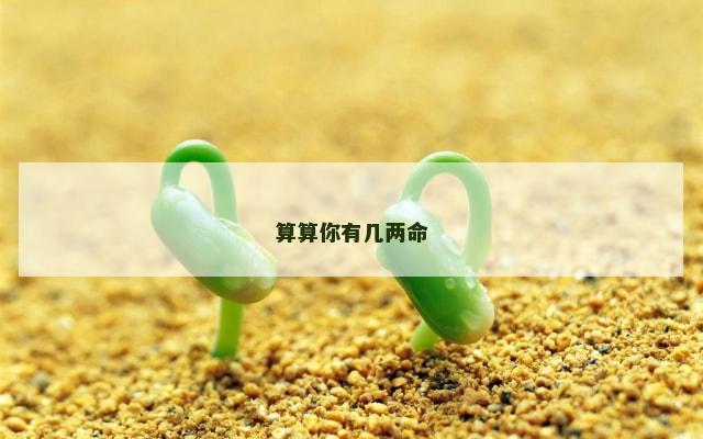 算算你有几两命