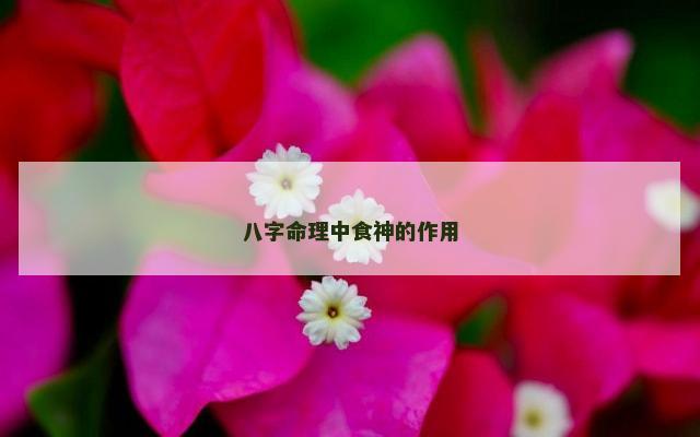 八字命理中食神的作用