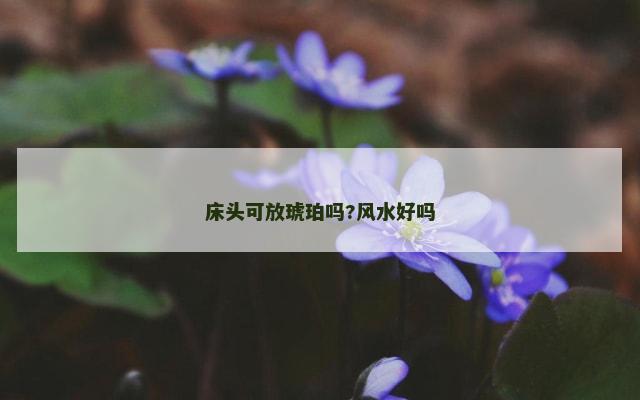 床头可放琥珀吗?风水好吗
