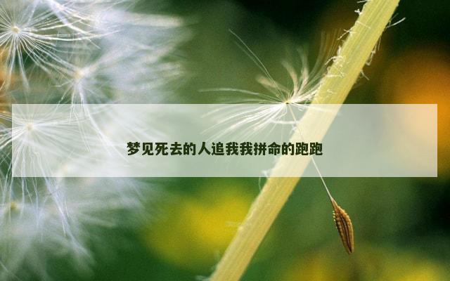 梦见死去的人追我我拼命的跑跑