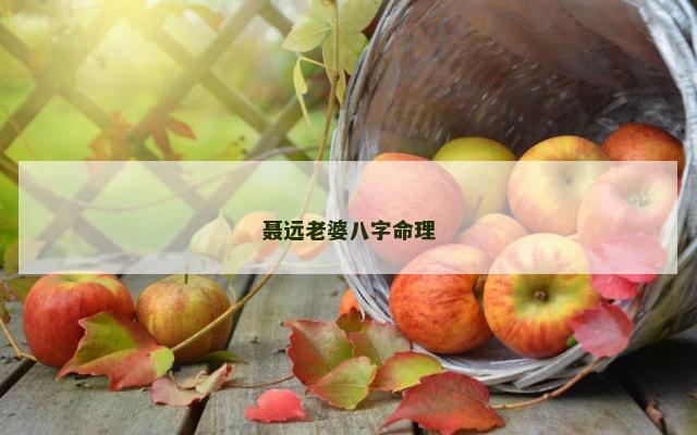 聂远老婆八字命理