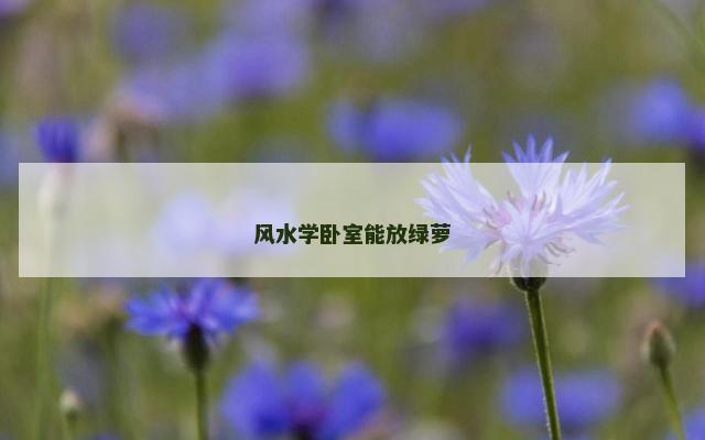 风水学卧室能放绿萝