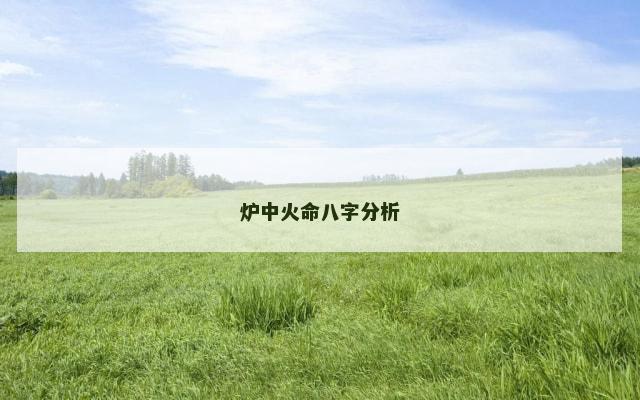 炉中火命八字分析