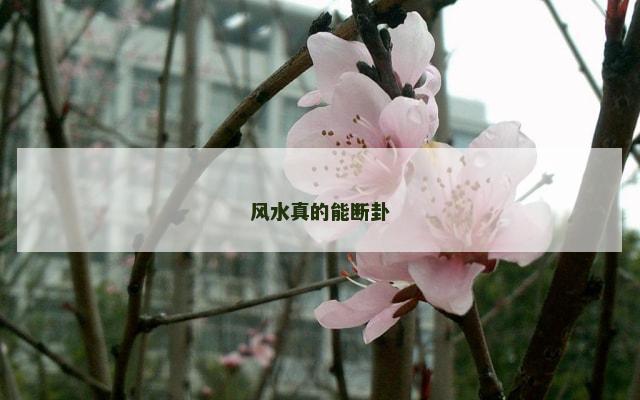 风水真的能断卦