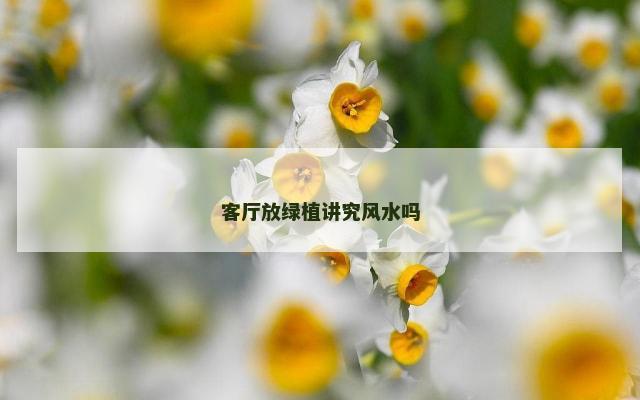 客厅放绿植讲究风水吗