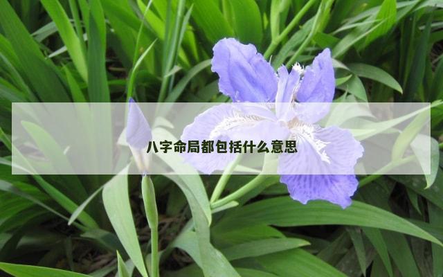 八字命局都包括什么意思