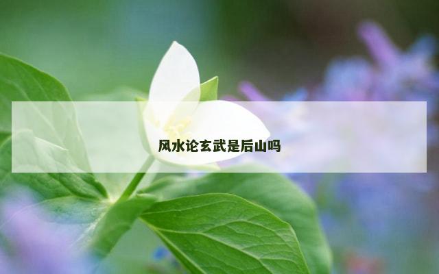 风水论玄武是后山吗