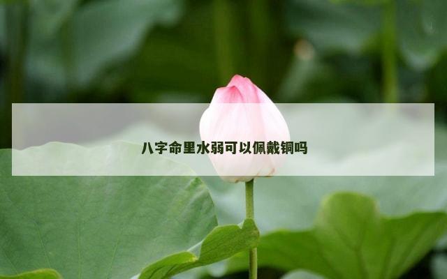 八字命里水弱可以佩戴铜吗
