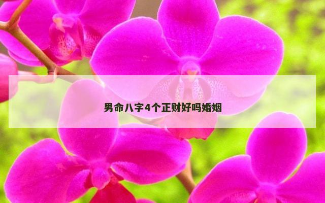 男命八字4个正财好吗婚姻
