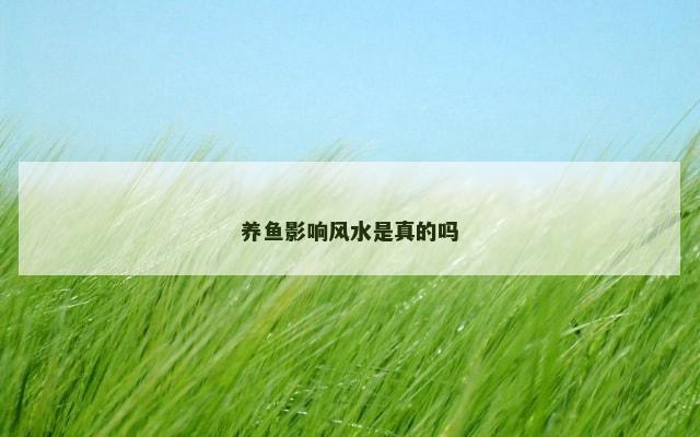养鱼影响风水是真的吗