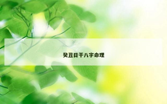 癸丑日干八字命理
