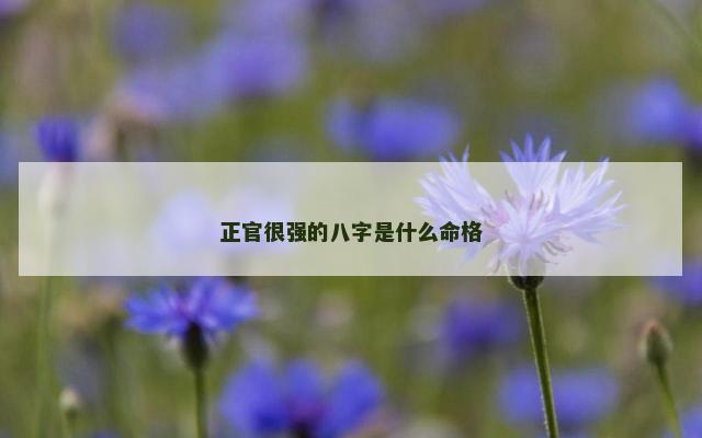 正官很强的八字是什么命格