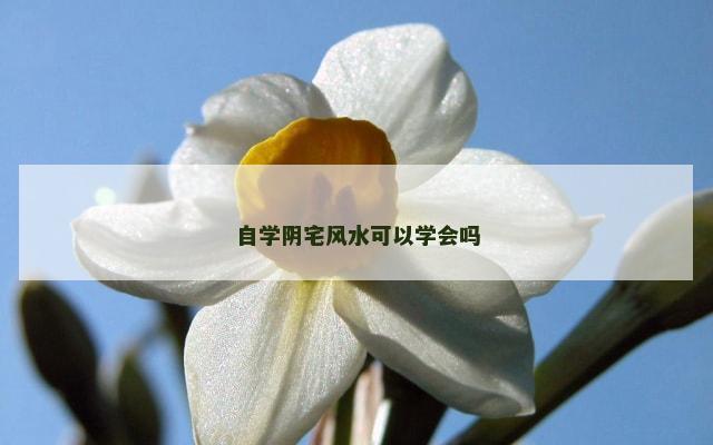 自学阴宅风水可以学会吗