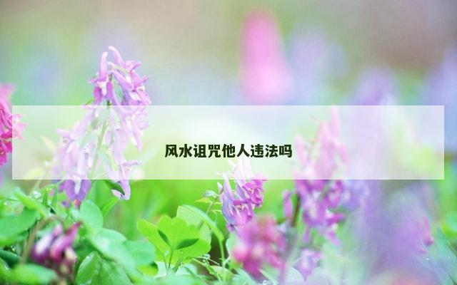 风水诅咒他人违法吗