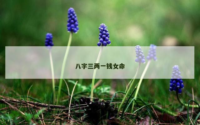 八字三两一钱女命