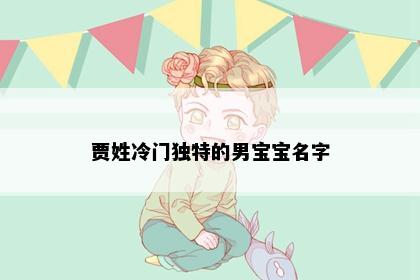 贾姓冷门独特的男宝宝名字