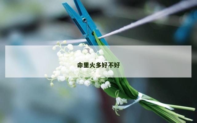 命里火多好不好