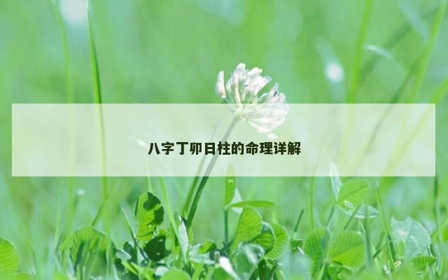 八字丁卯日柱的命理详解