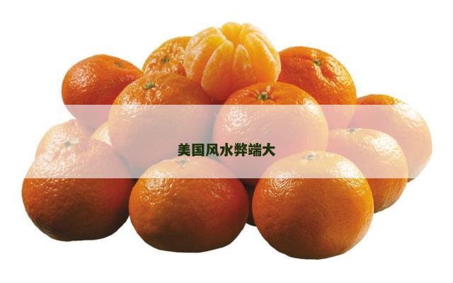 美国风水弊端大