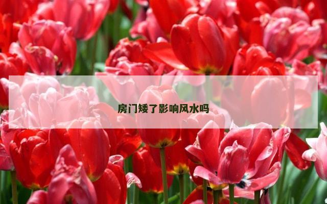 房门矮了影响风水吗