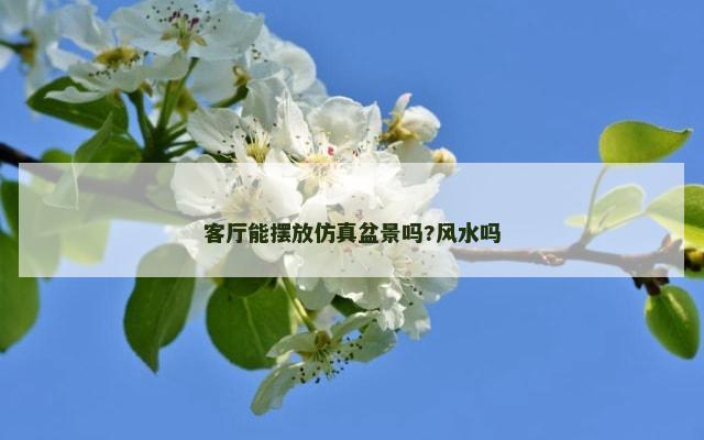 客厅能摆放仿真盆景吗?风水吗