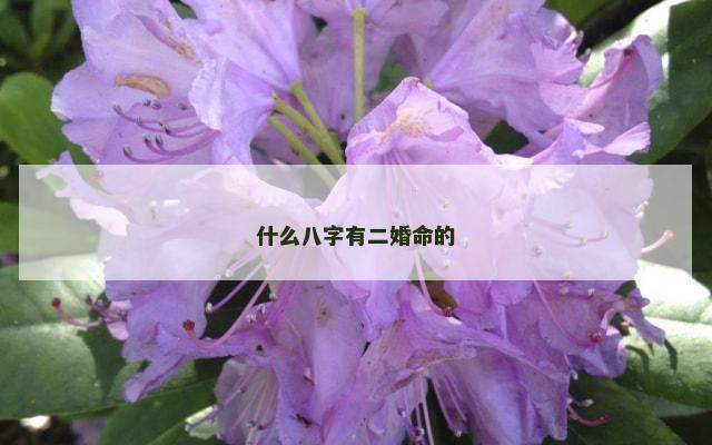 什么八字有二婚命的