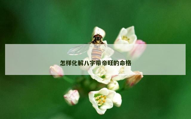 怎样化解八字带帝旺的命格