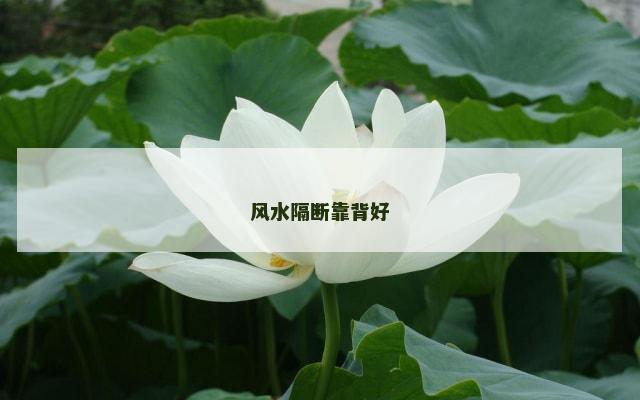 风水隔断靠背好
