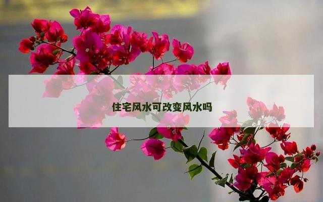 住宅风水可改变风水吗
