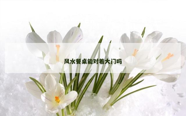 风水餐桌能对着大门吗