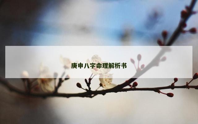 庚申八字命理解析书
