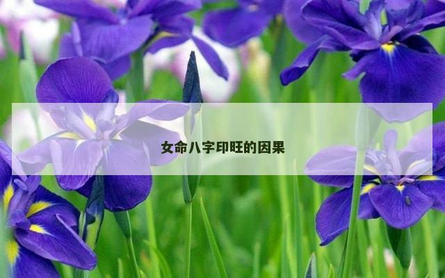女命八字印旺的因果
