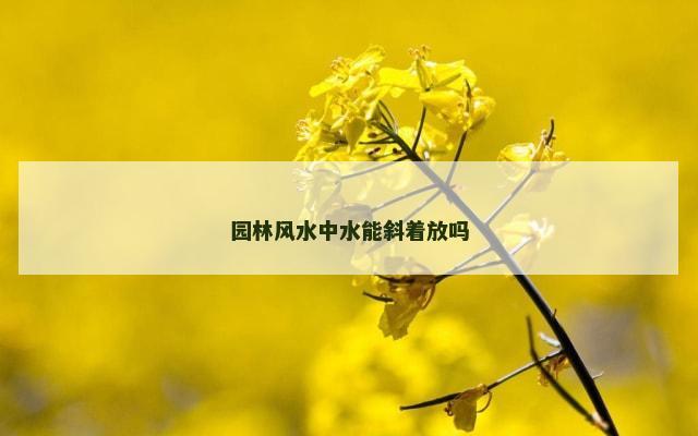 园林风水中水能斜着放吗