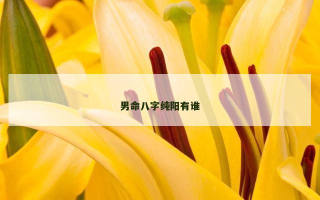男命八字纯阳有谁