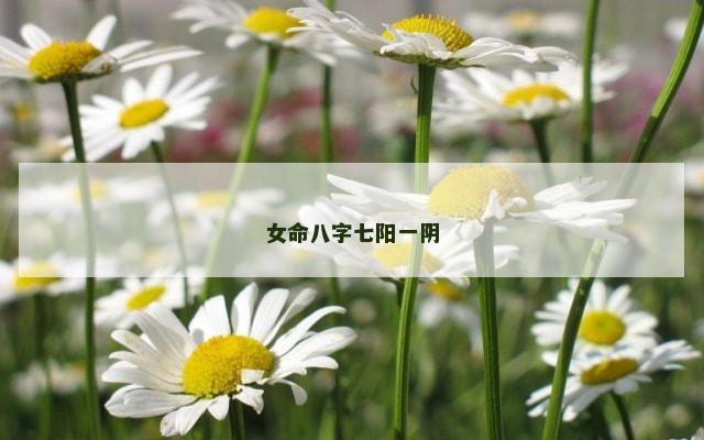 女命八字七阳一阴