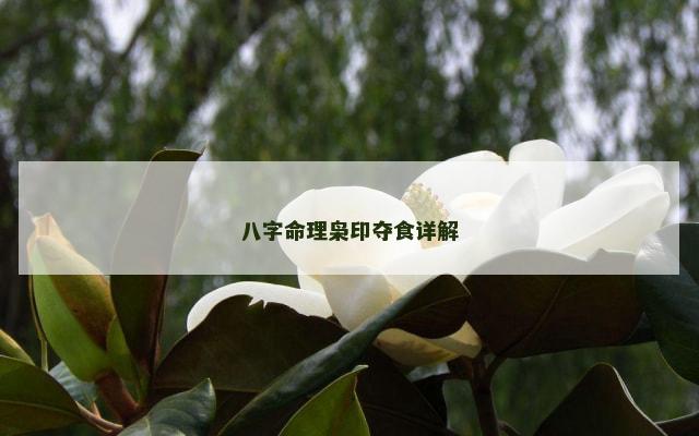 八字命理枭印夺食详解