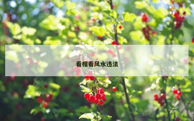 看相看风水违法