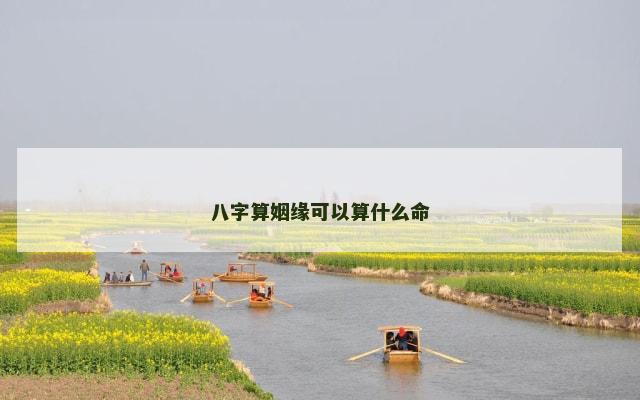 八字算姻缘可以算什么命