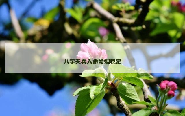 八字天喜入命婚姻稳定