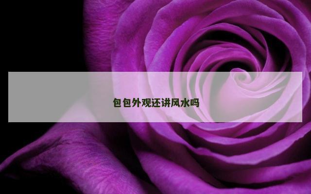 包包外观还讲风水吗