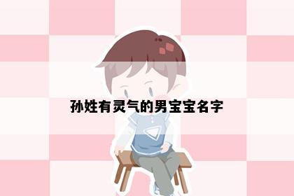 孙姓有灵气的男宝宝名字
