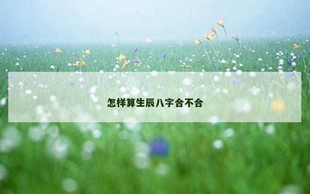 怎样算生辰八字合不合
