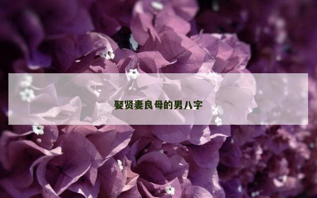 娶贤妻良母的男八字