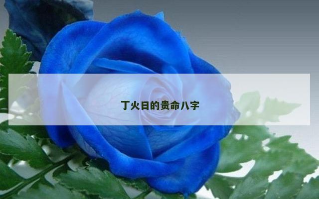 丁火日的贵命八字