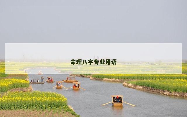 命理八字专业用语