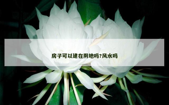房子可以建在阴地吗?风水吗