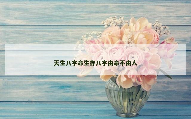 天生八字命生存八字由命不由人
