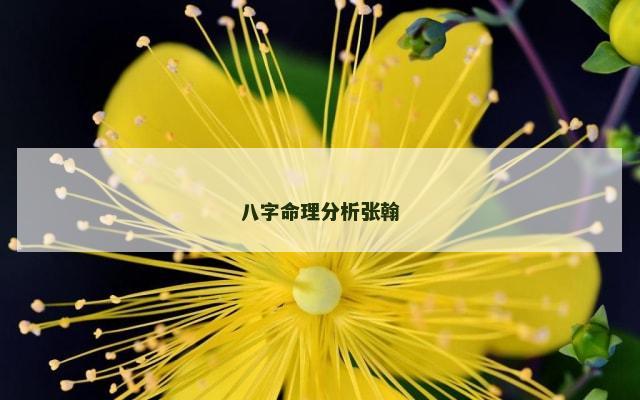 八字命理分析张翰